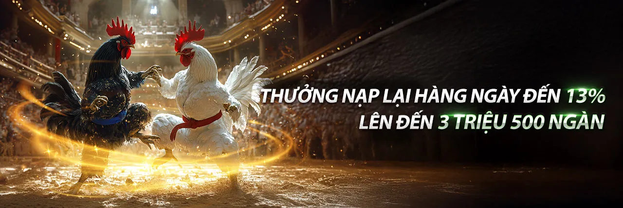 Đá Gà Trực Tuyến NWE88